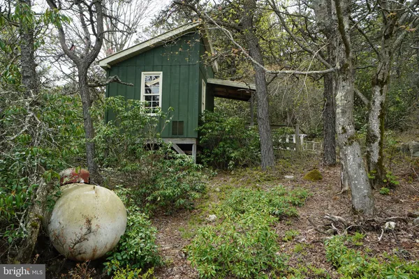 a view of a backyard
