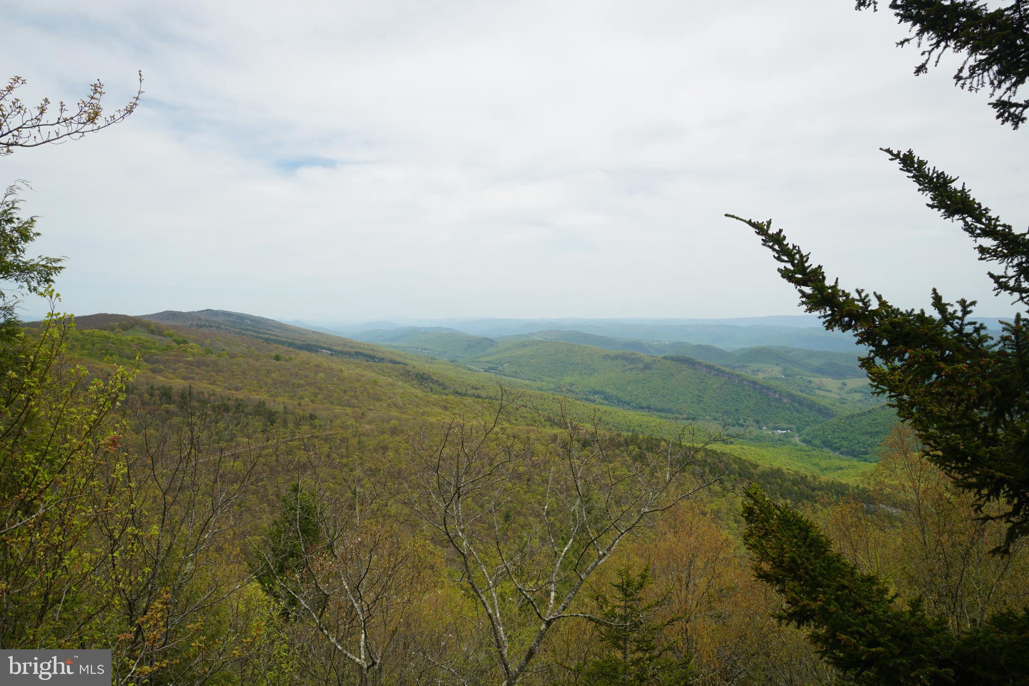 55 Burton Road Franklin, WV 26807 - Photo 7 of 31