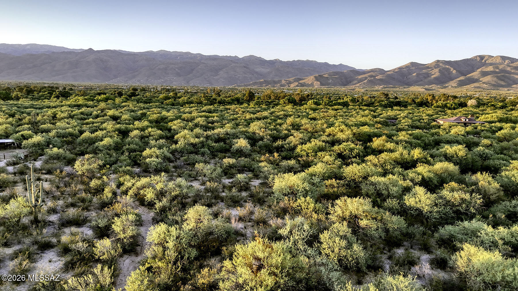 1242 North Freeman Road, Unit 5 ACRE Tucson, AZ 85749 - Photo 9 of 20 Desert Flora