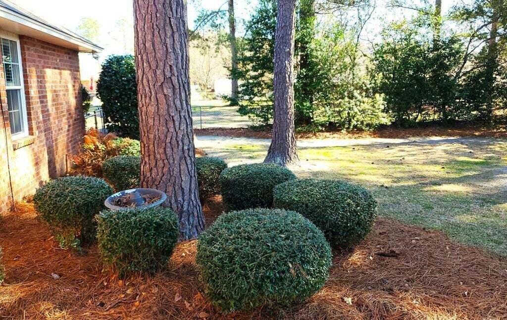 1450 Morris Way Drive Sumter, SC 29154 - Photo 2 of 68 2