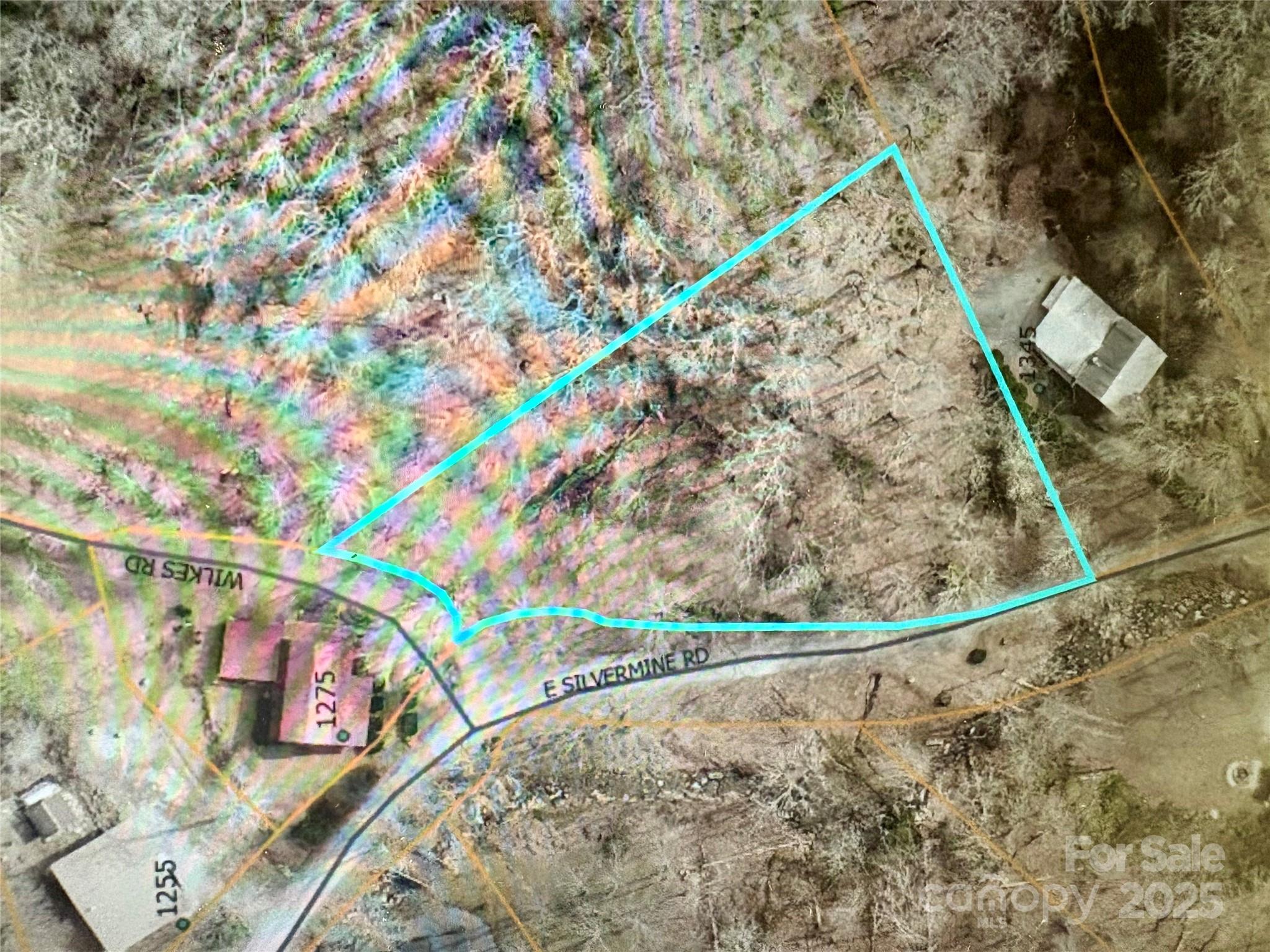 0 Wilkes Road Bryson City, NC 28713 - Photo 11 of 11 a view of a yard