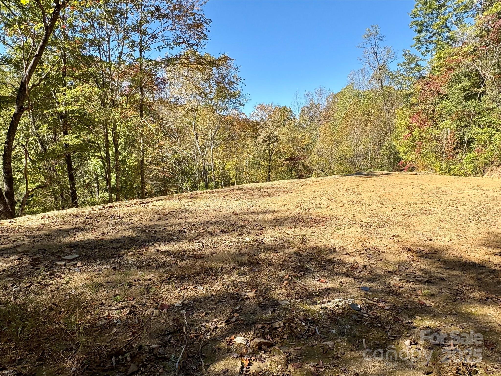 0 Wilkes Road Bryson City, NC 28713 - Photo 3 of 11