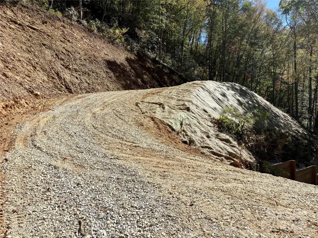 a view of yard with large trees