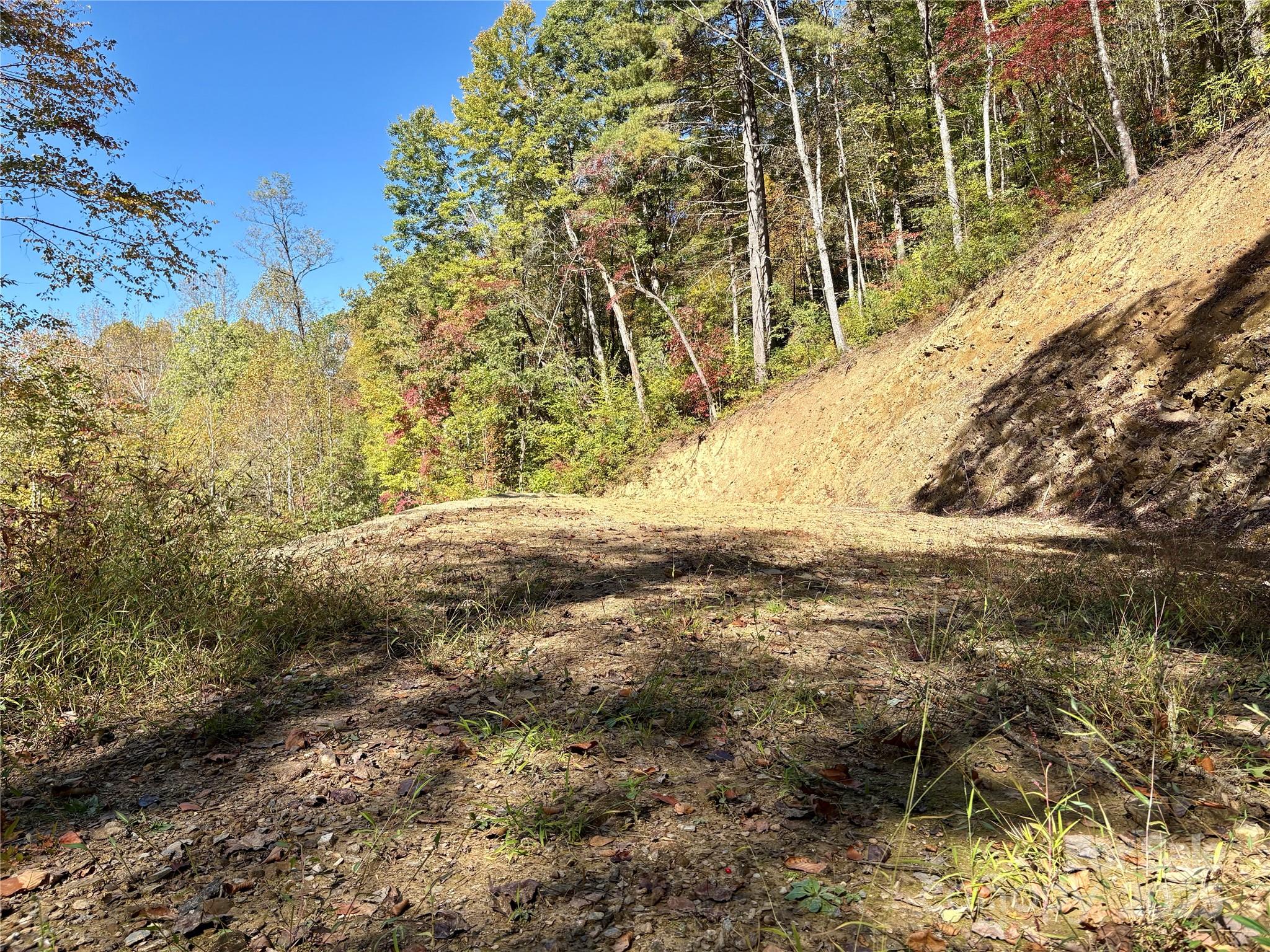 0 Wilkes Road Bryson City, NC 28713 - Photo 6 of 11 a view of yard with large trees