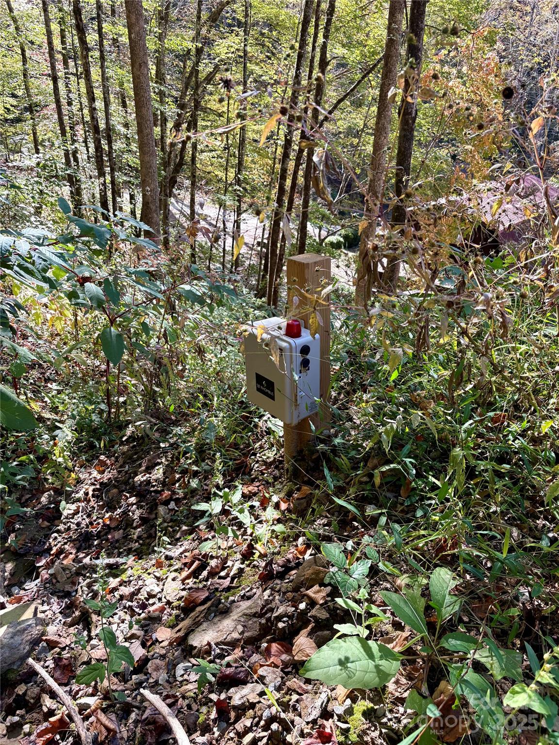 0 Wilkes Road Bryson City, NC 28713 - Photo 7 of 11