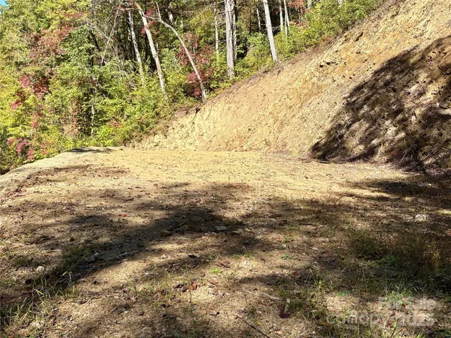 a view of a dry yard with wooden floor