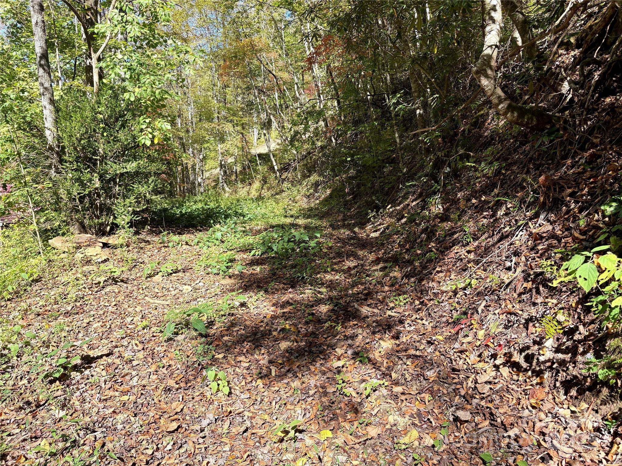 0 Wilkes Road Bryson City, NC 28713 - Photo 9 of 11 a view of a yard with plants and tree