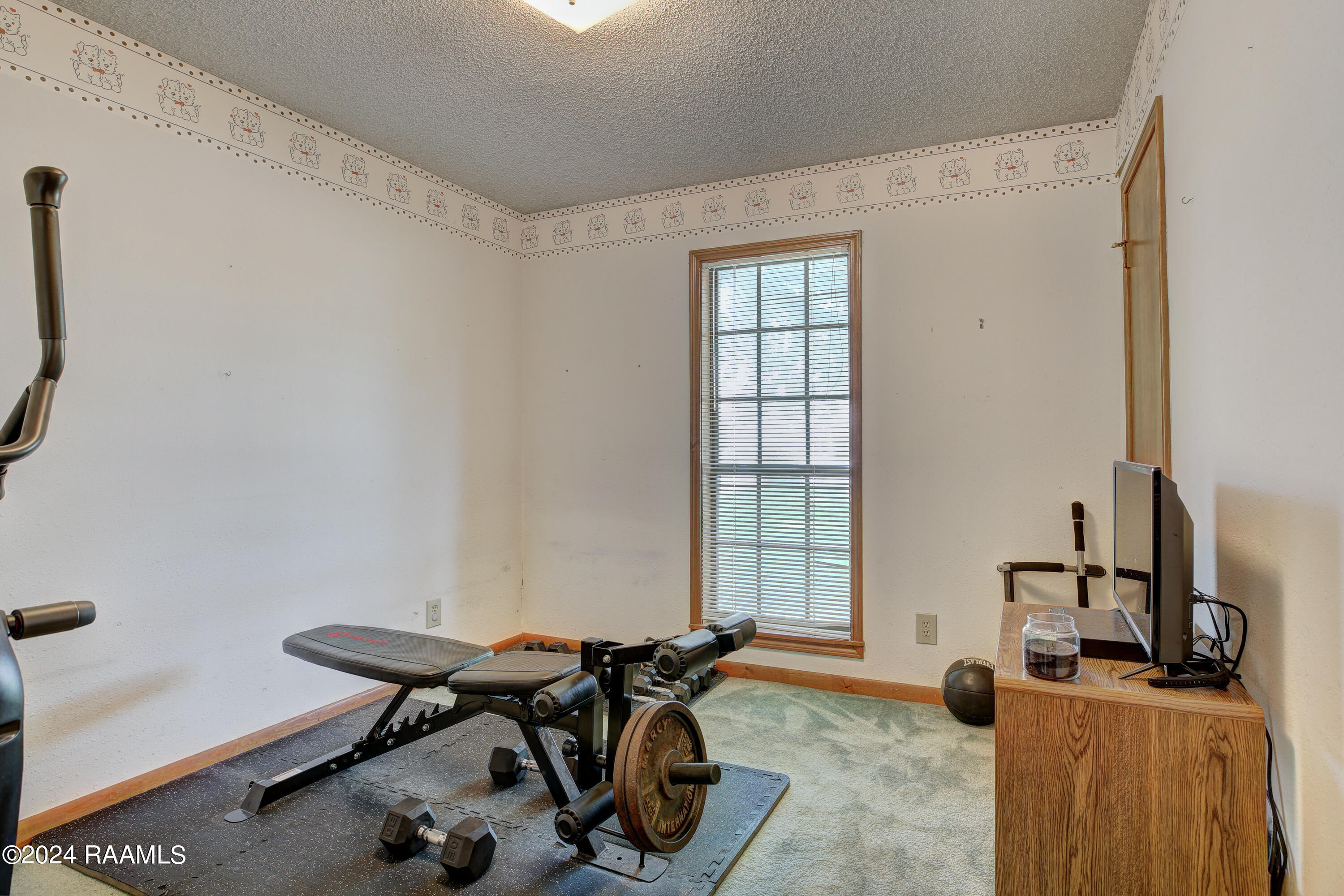 105 Avanti Drive Carencro, LA 70520 - Photo 11 of 15 9