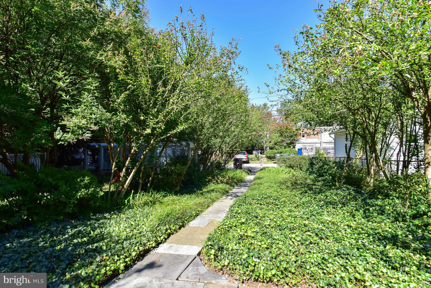 4427 Garrison Street Northwest Washington, DC 20016 - Photo 25 of 27 a view of a garden with a pathway