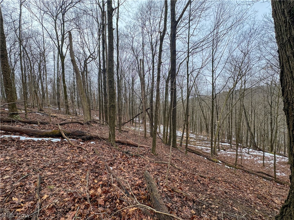 0 Tract 4 Twp Road Woodsfield, OH 43793 - Photo 26 of 34