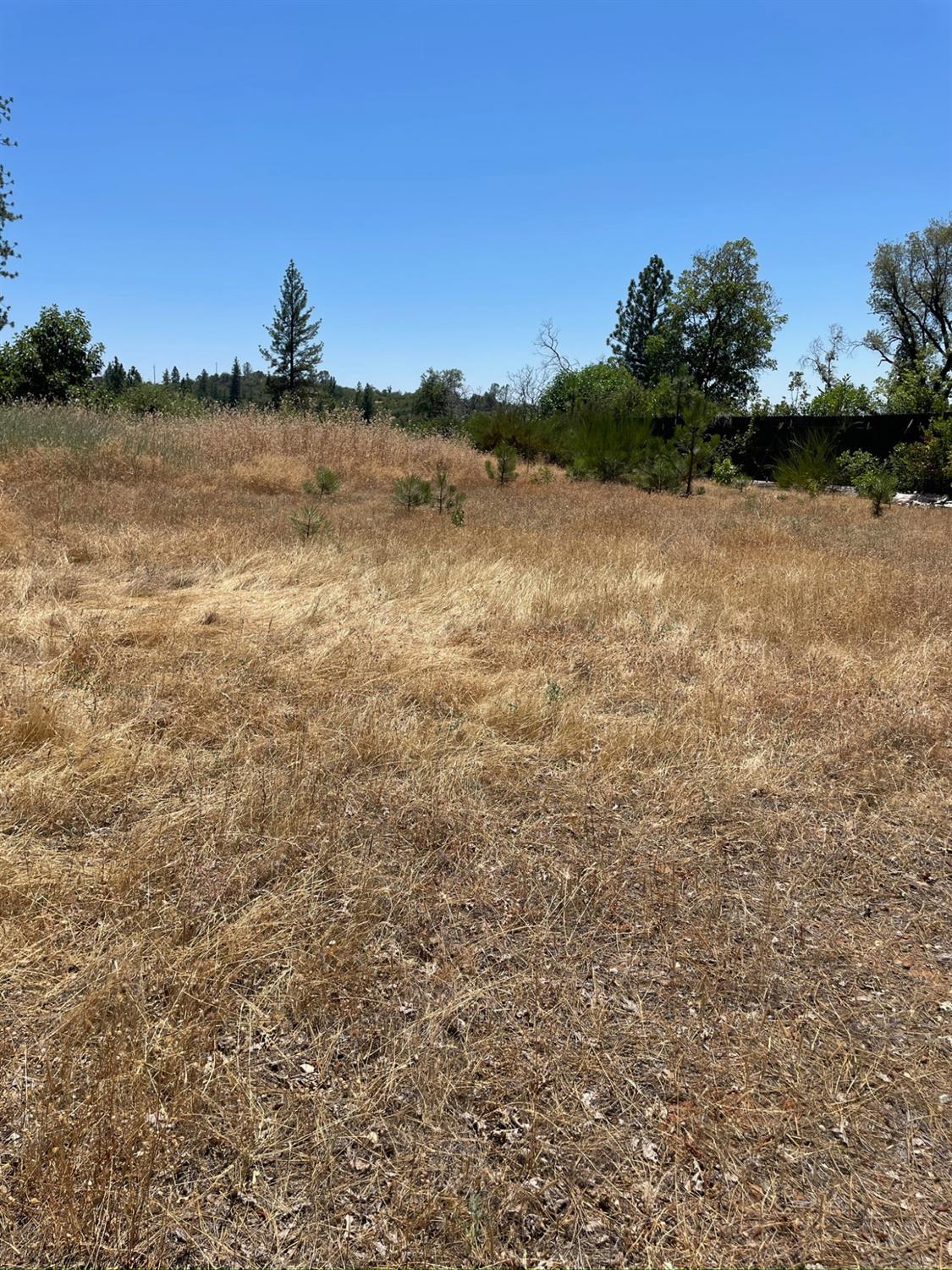 10874 Marysville Road Dobbins, CA 95935 - Photo 11 of 46 a view of lake
