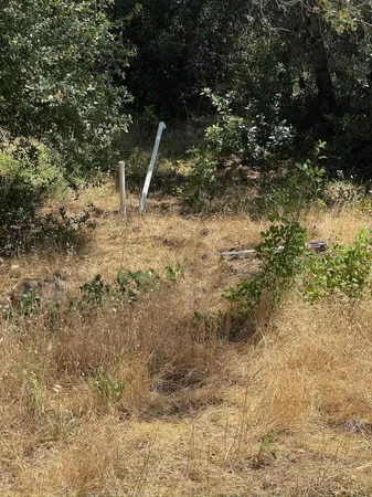 a view of outdoor space and a yard
