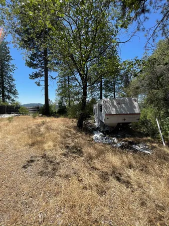 a view of a backyard with plants and large trees