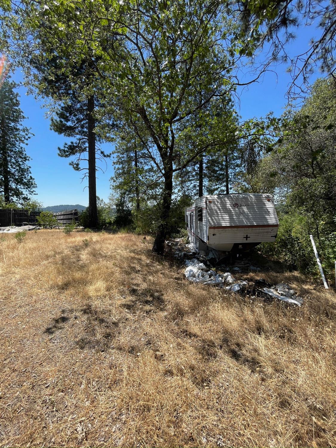 10874 Marysville Road Dobbins, CA 95935 - Photo 15 of 46 a view of a backyard with plants and large trees