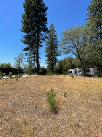 a view of outdoor space yard and green space