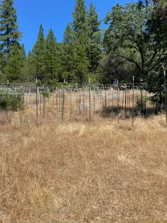 a backyard of a house with lots of green space and lake view