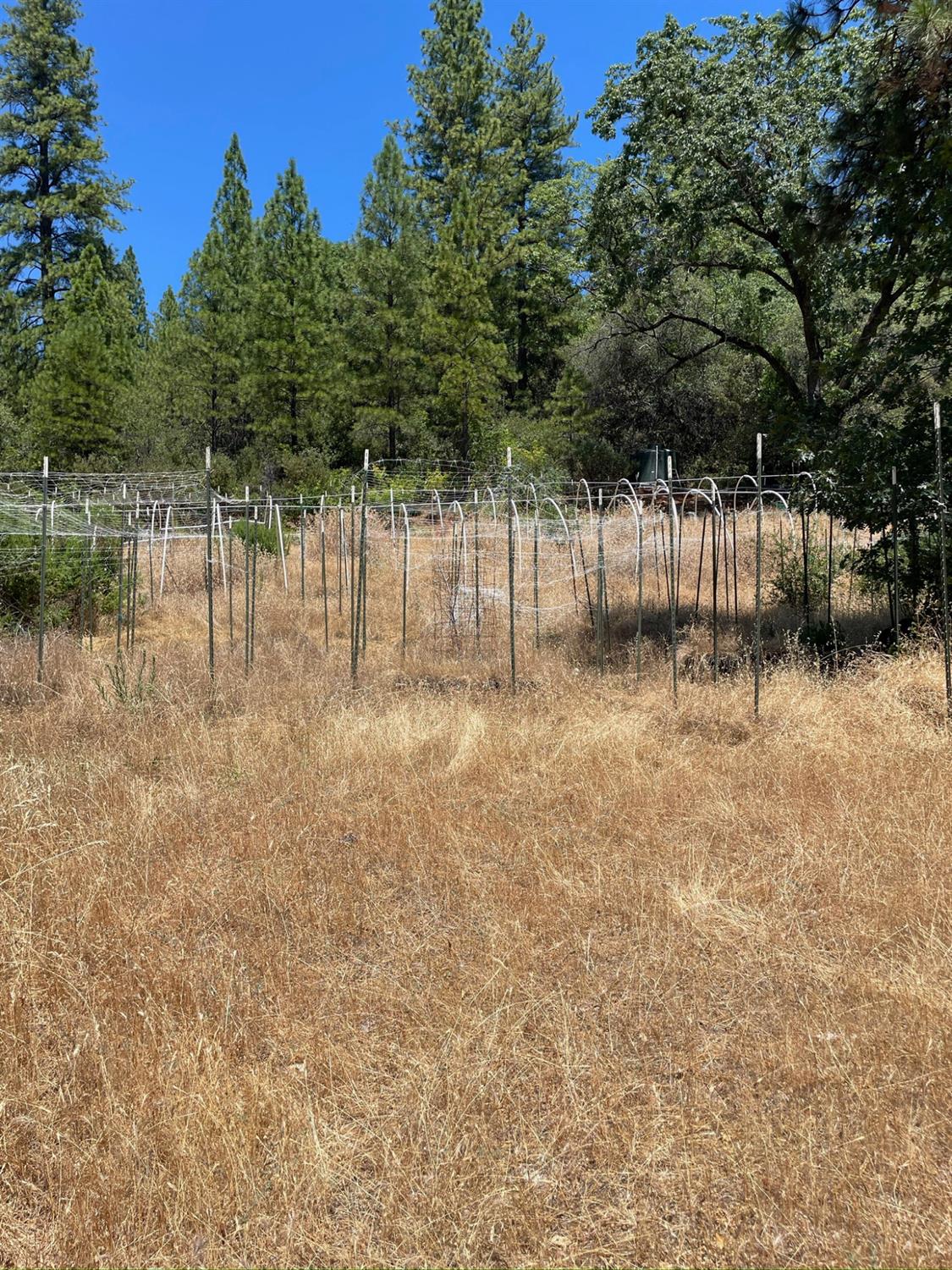 10874 Marysville Road Dobbins, CA 95935 - Photo 18 of 46 a backyard of a house with lots of green space and lake view