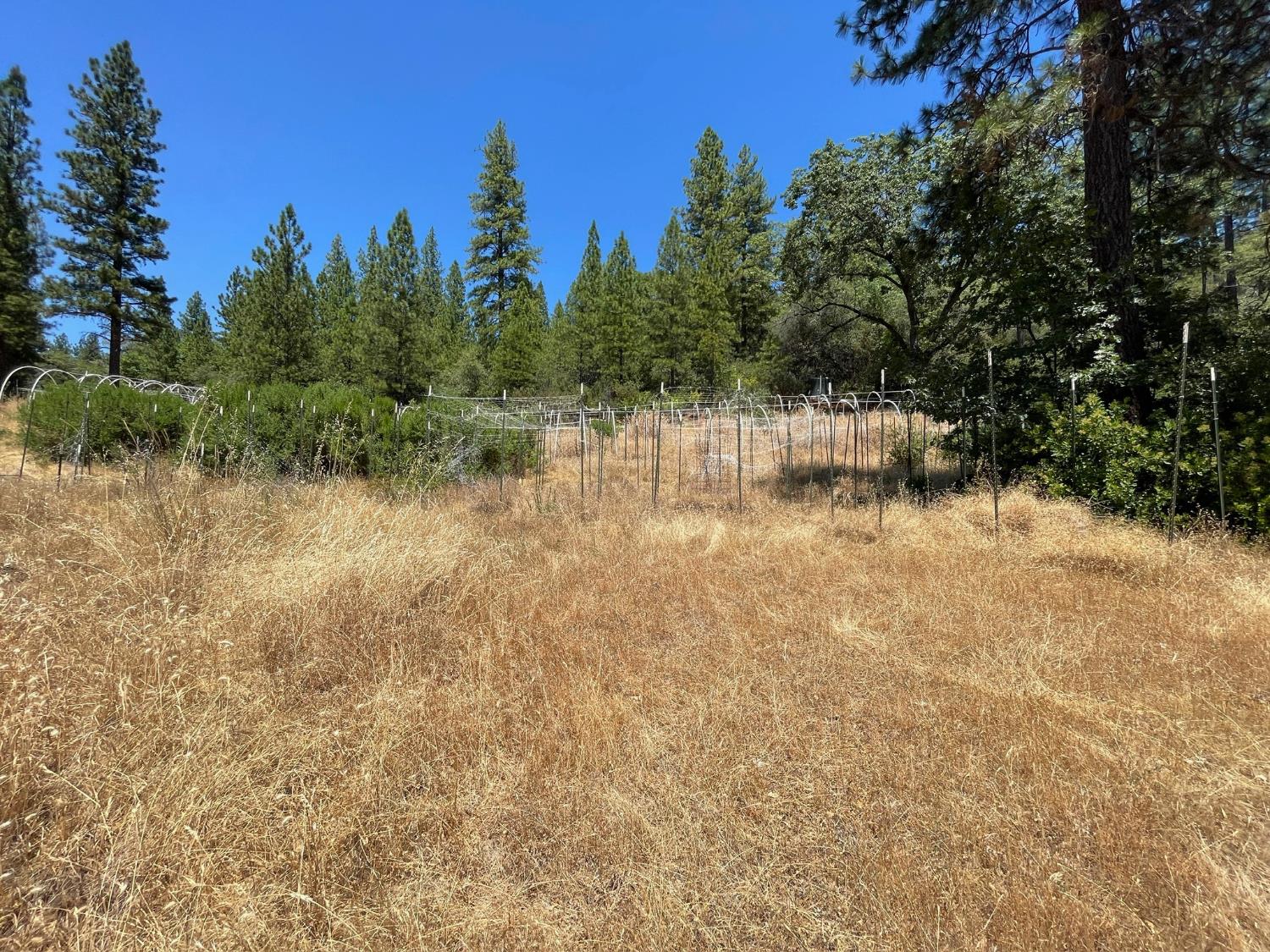 10874 Marysville Road Dobbins, CA 95935 - Photo 19 of 46 a view of a lake with trees in the background