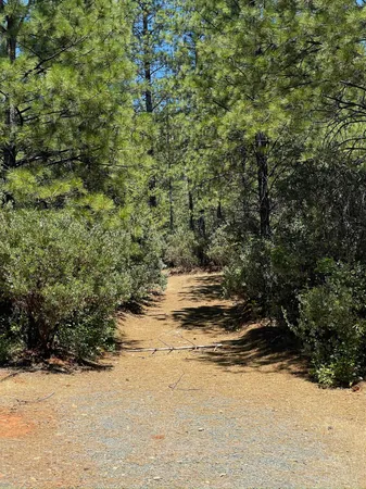 a view of lake view with lots of trees