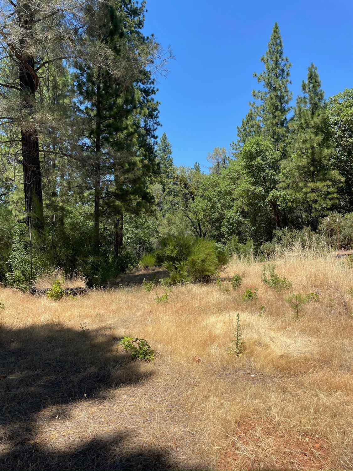 10874 Marysville Road Dobbins, CA 95935 - Photo 27 of 46 a view of lake view with lots of trees