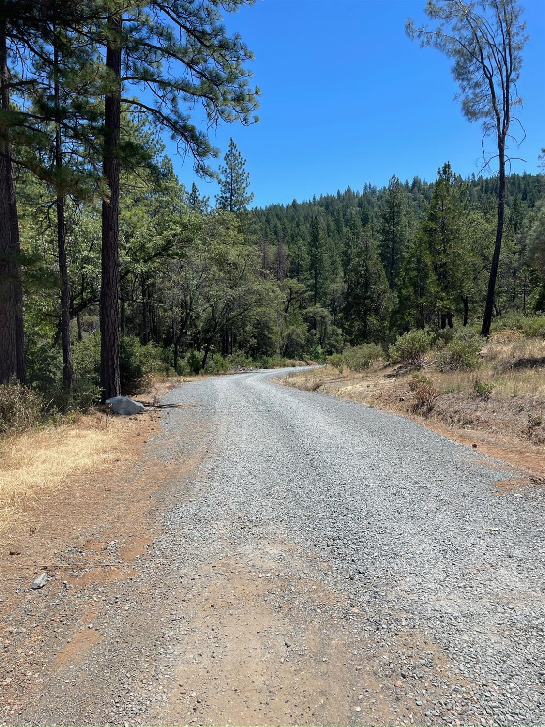 10874 Marysville Road Dobbins, CA 95935 - Photo 3 of 46 a view of a dirt road with large trees