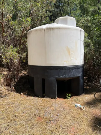 a view of a yard with a tree