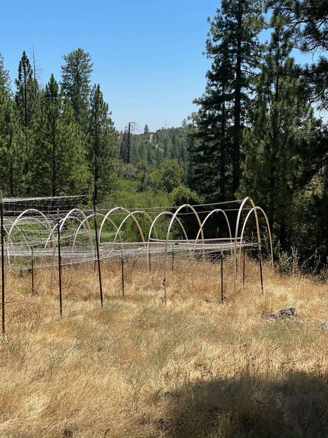 10874 Marysville Road Dobbins, CA 95935 - Photo 34 of 46 a view of a wooden fence with a yard