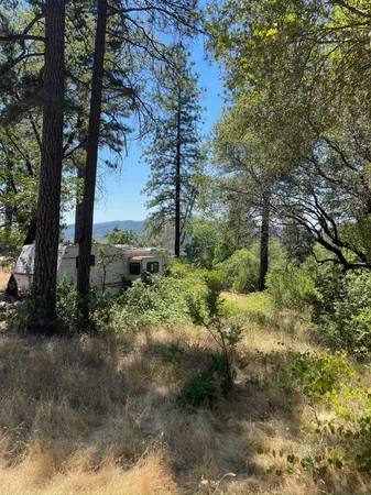 a view of backyard of green space