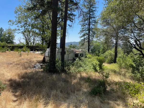 a view of lake with tree