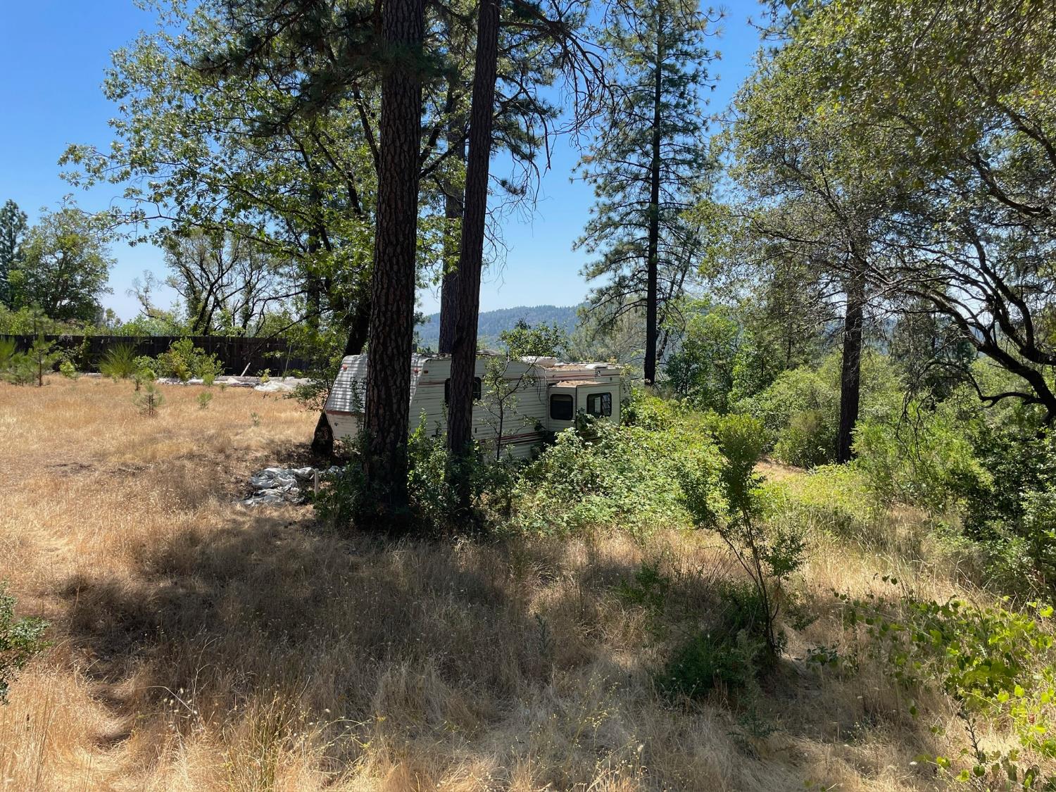 10874 Marysville Road Dobbins, CA 95935 - Photo 38 of 46 a view of backyard of green space