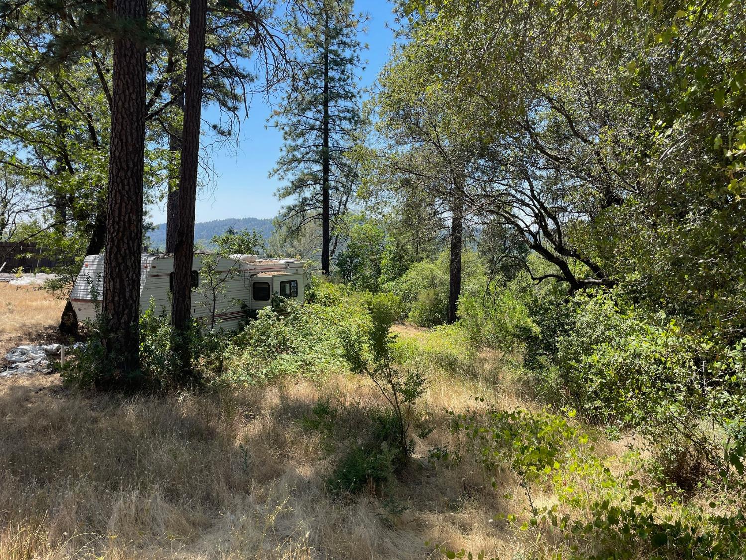 10874 Marysville Road Dobbins, CA 95935 - Photo 40 of 46 a view of a garden with large trees
