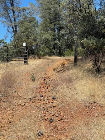 a view of a yard covered in snow