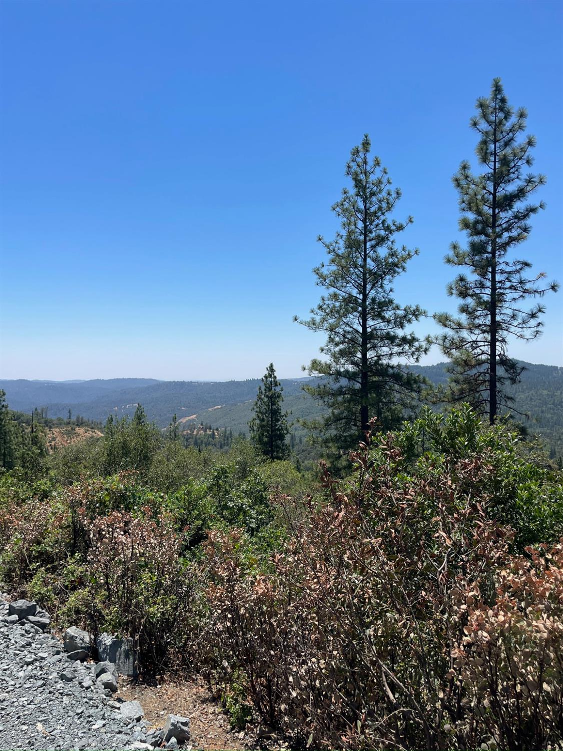10874 Marysville Road Dobbins, CA 95935 - Photo 7 of 46 a view of a bunch of trees