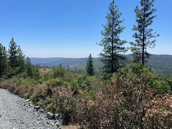 a view of a green field