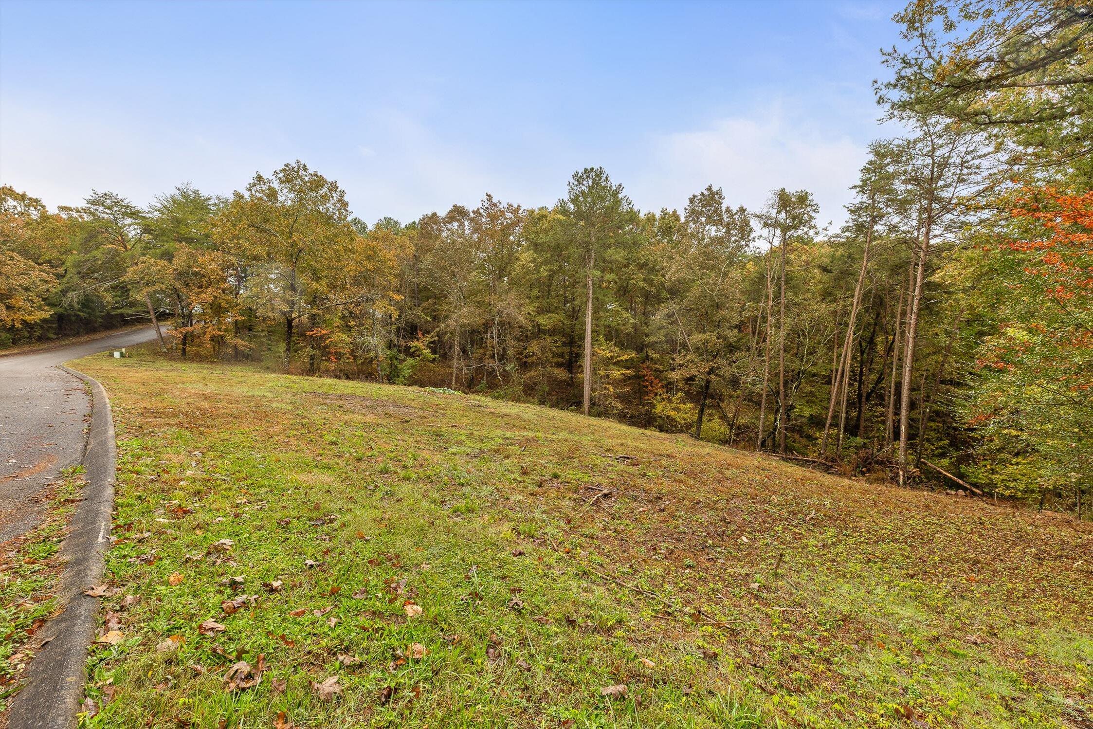 0 Countryside Drive Dunlap, TN 37327 - Photo 11 of 34 11-Countryside-11