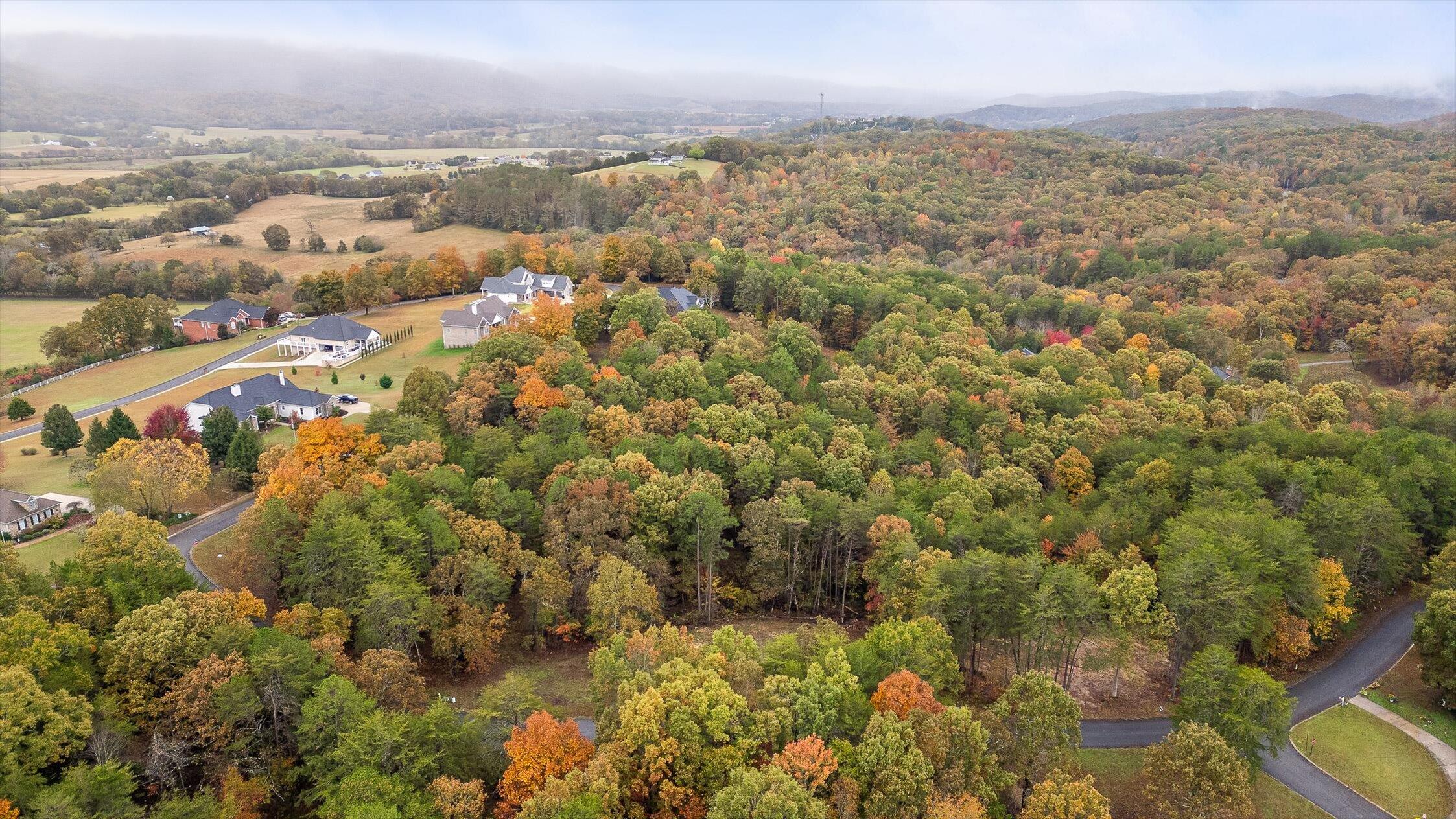 0 Countryside Drive Dunlap, TN 37327 - Photo 14 of 34 14-Countryside-14