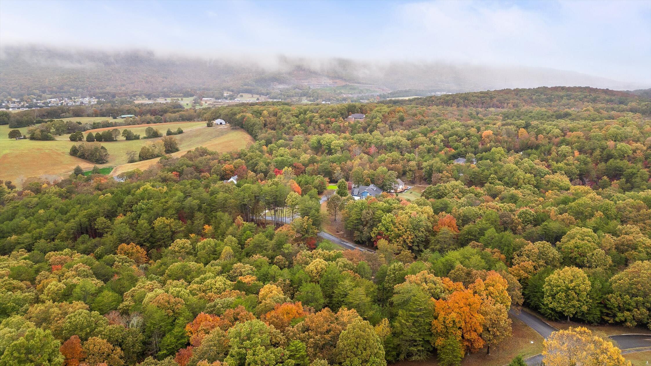 0 Countryside Drive Dunlap, TN 37327 - Photo 17 of 34 17-Countryside-17