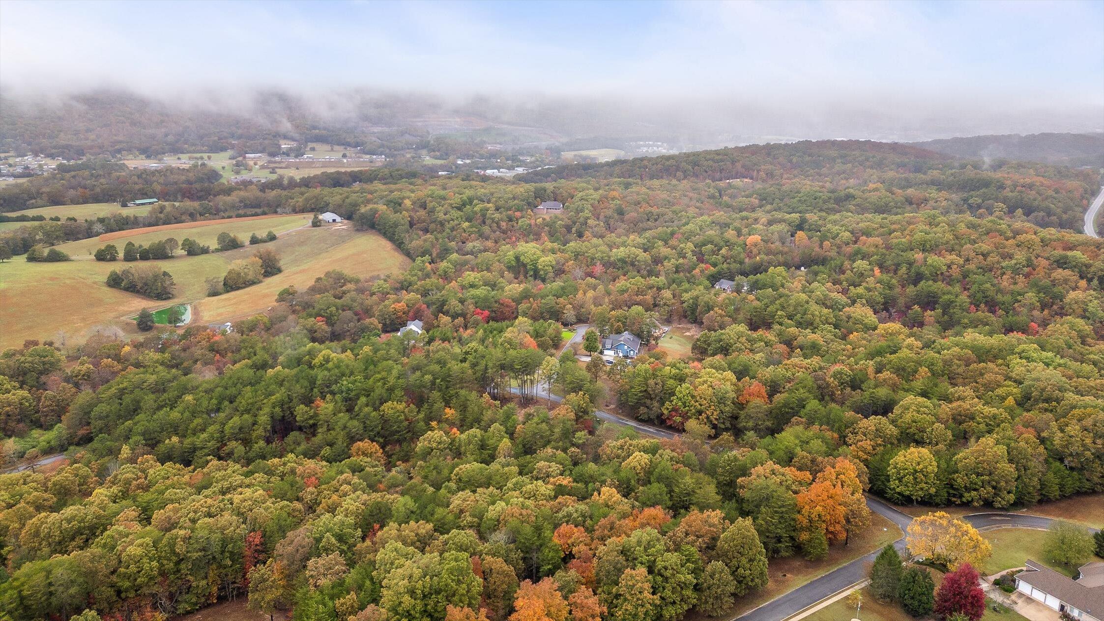 0 Countryside Drive Dunlap, TN 37327 - Photo 23 of 34 23-Countryside-24
