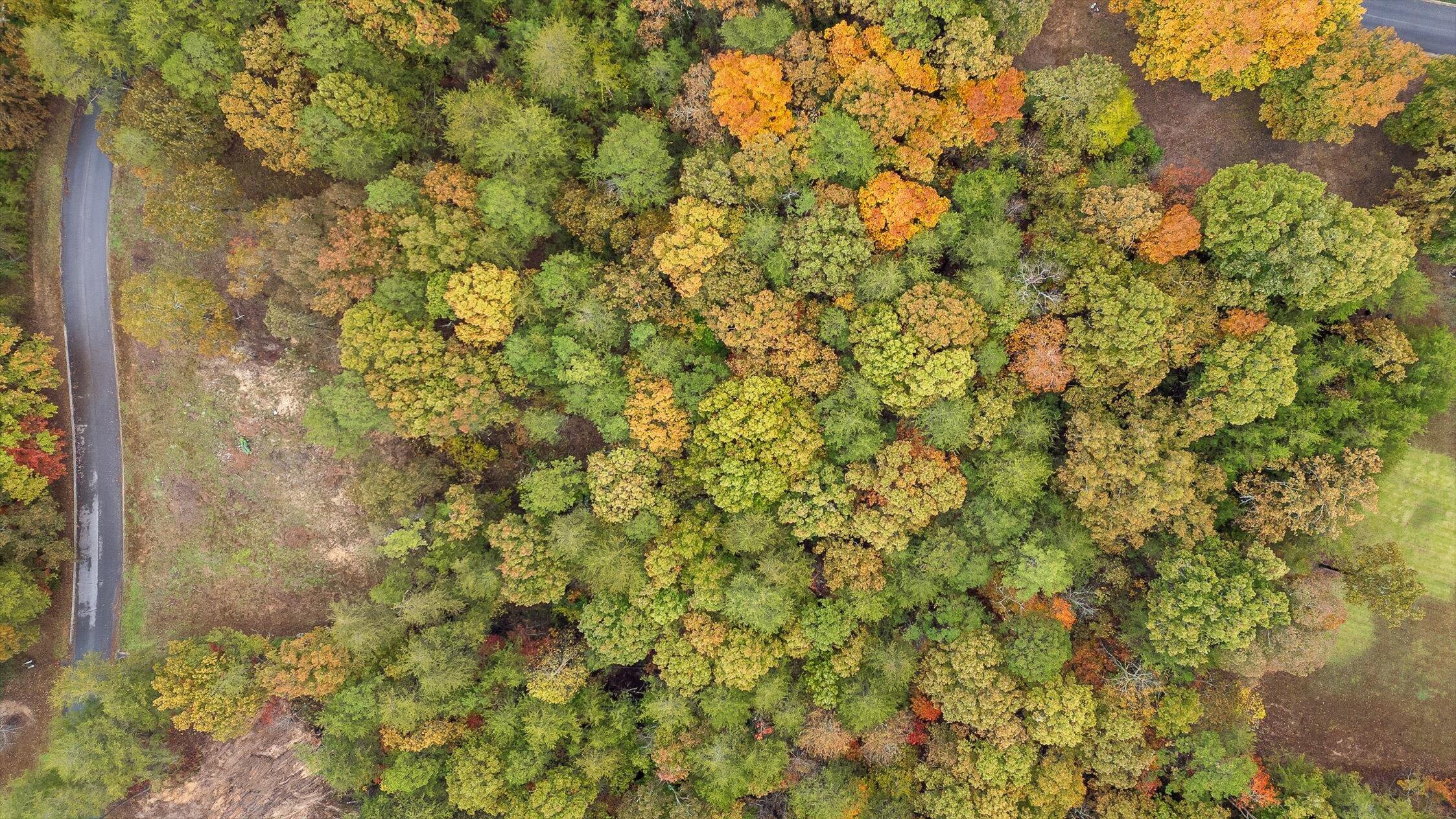 0 Countryside Drive Dunlap, TN 37327 - Photo 25 of 34 25-Countryside-26