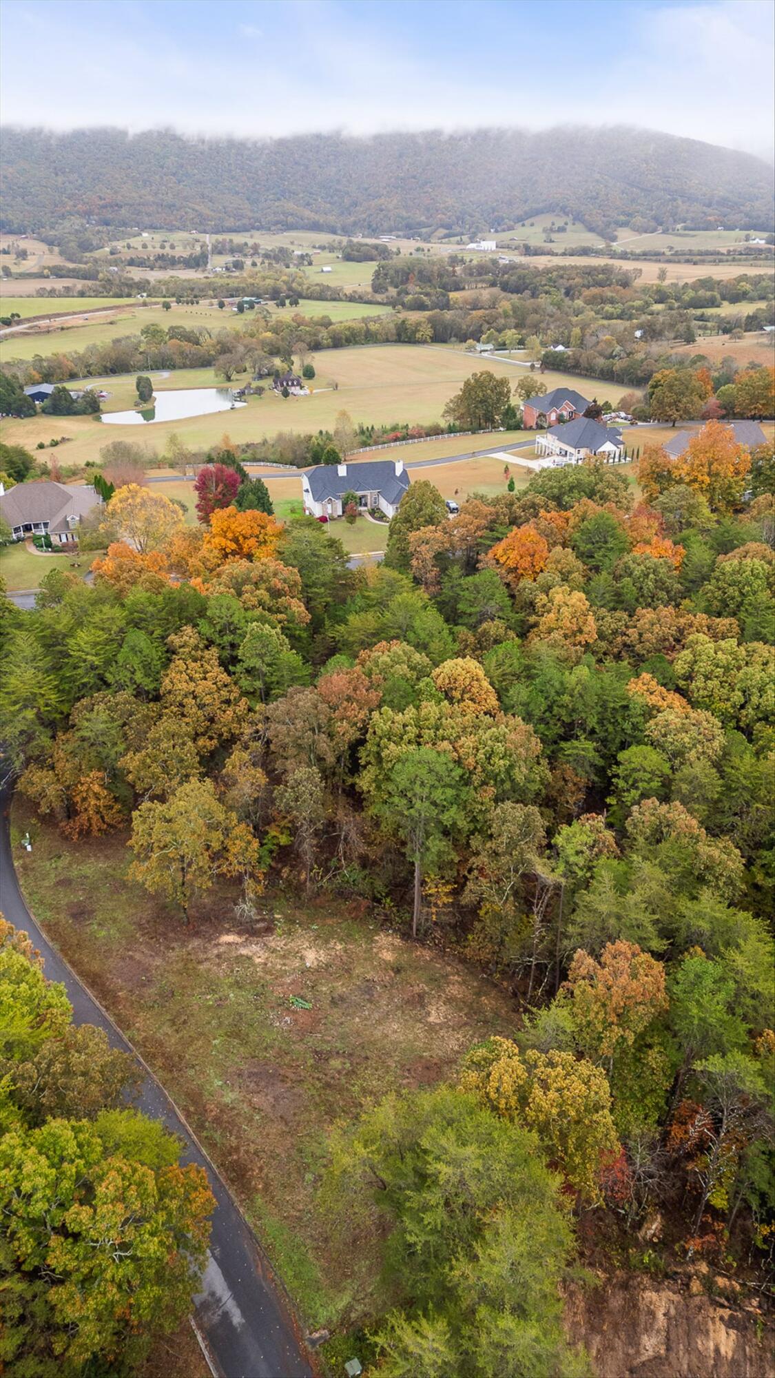 0 Countryside Drive Dunlap, TN 37327 - Photo 26 of 34 26-Countryside-27