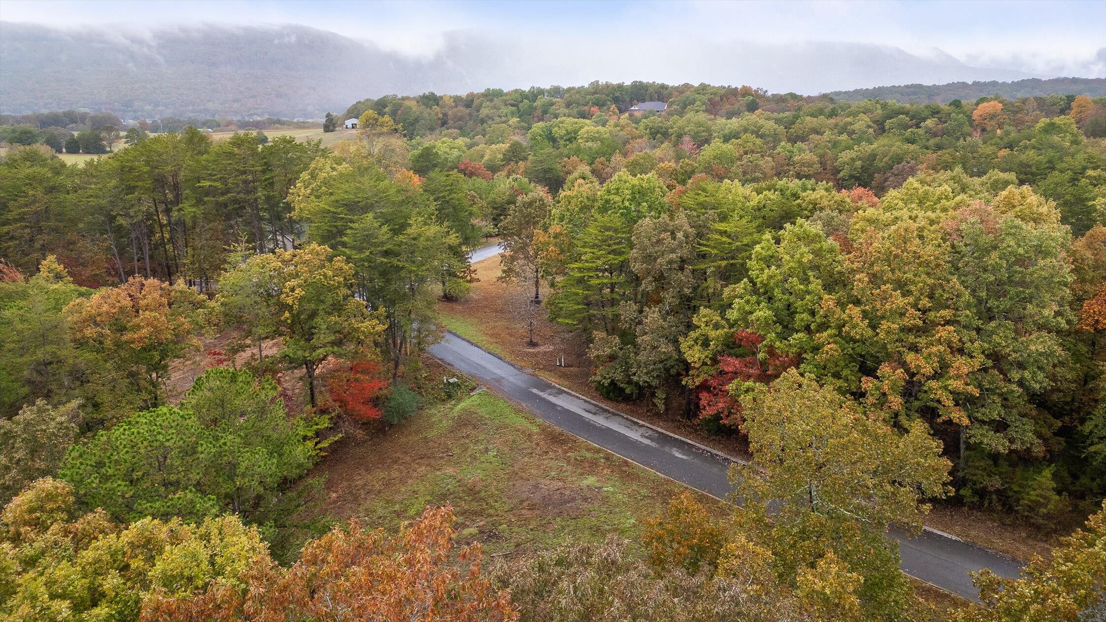 0 Countryside Drive Dunlap, TN 37327 - Photo 30 of 34 30-Countryside-31