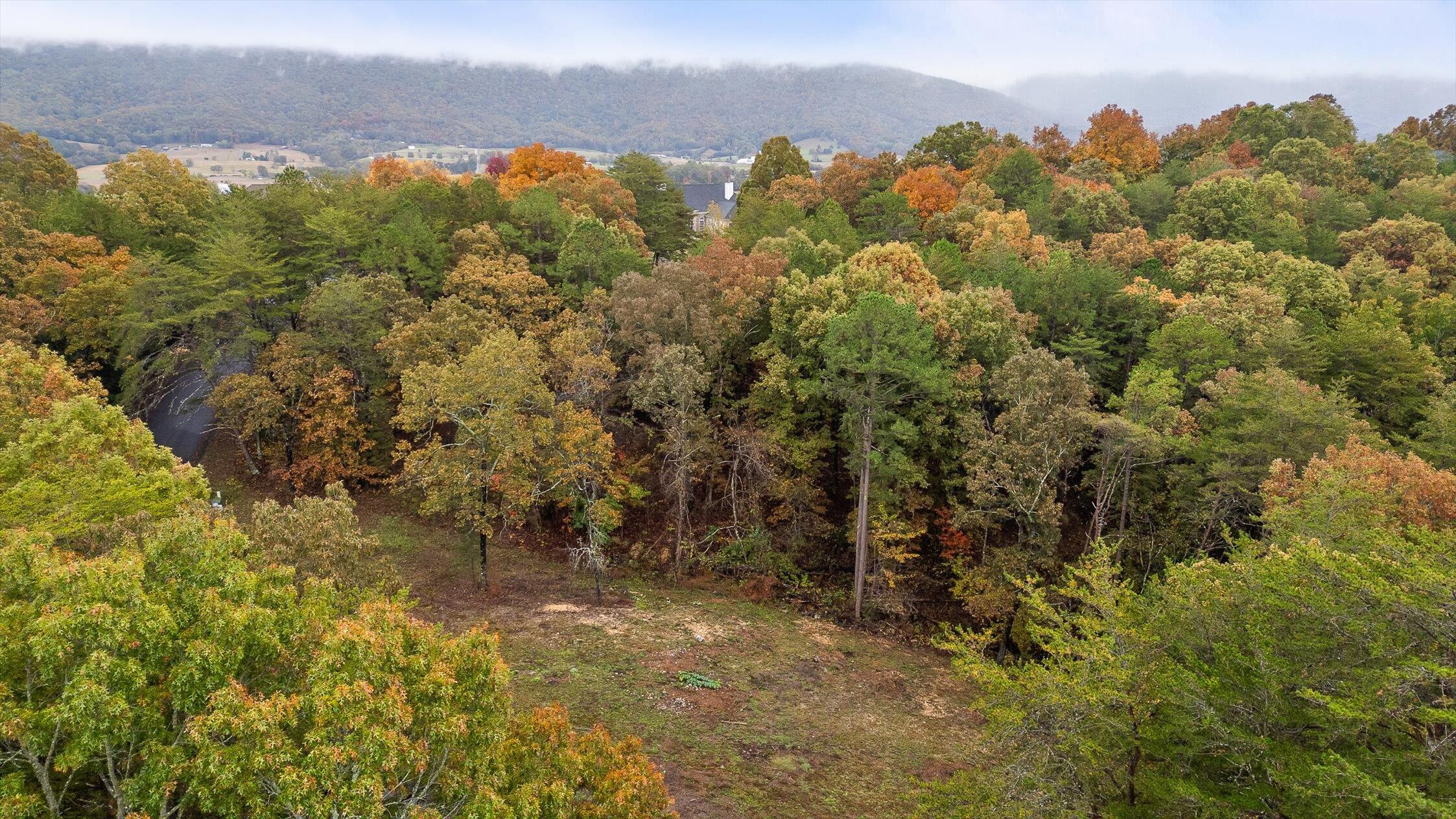 0 Countryside Drive Dunlap, TN 37327 - Photo 31 of 34 31-Countryside-32