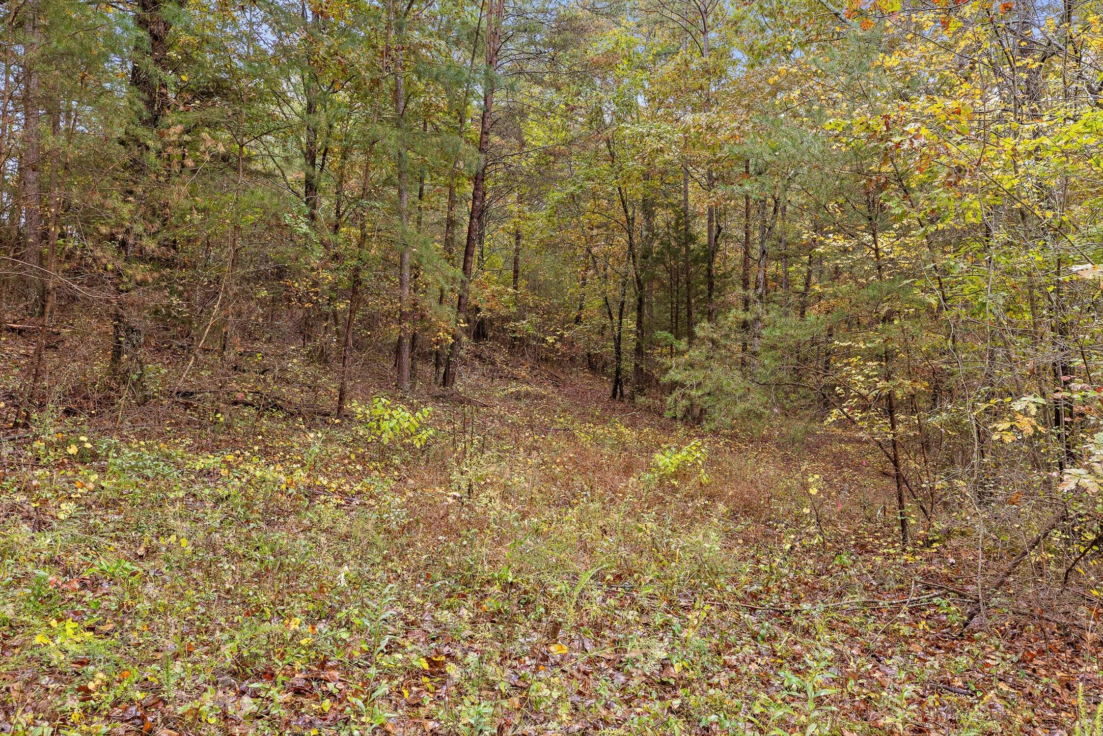 0 Countryside Drive Dunlap, TN 37327 - Photo 6 of 34 06-Countryside-6