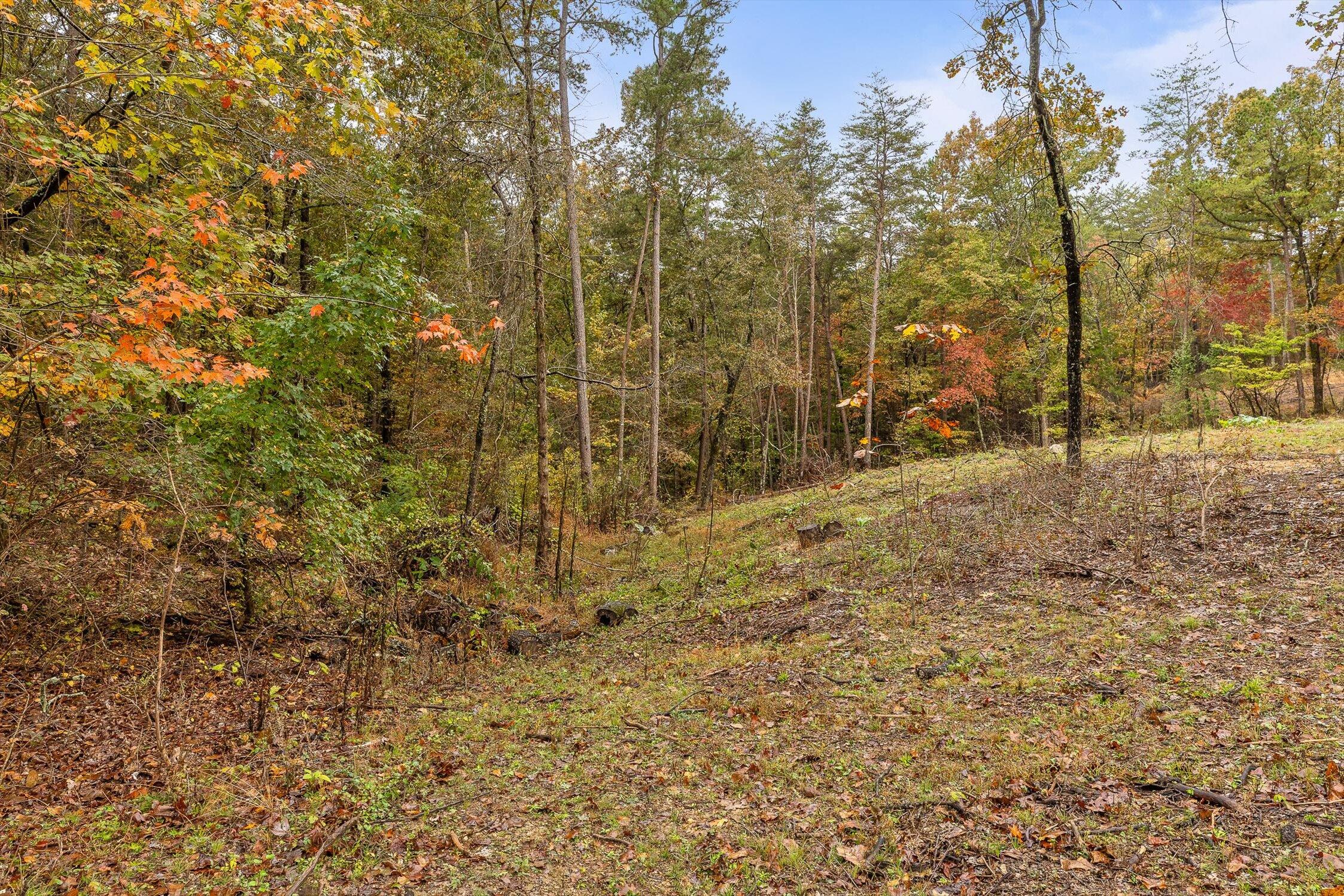 0 Countryside Drive Dunlap, TN 37327 - Photo 7 of 34 07-Countryside-7