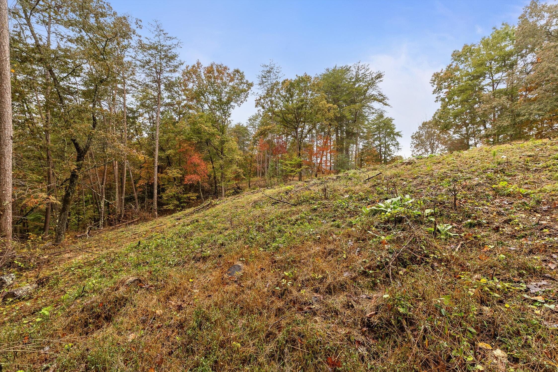 0 Countryside Drive Dunlap, TN 37327 - Photo 8 of 34 08-Countryside-8