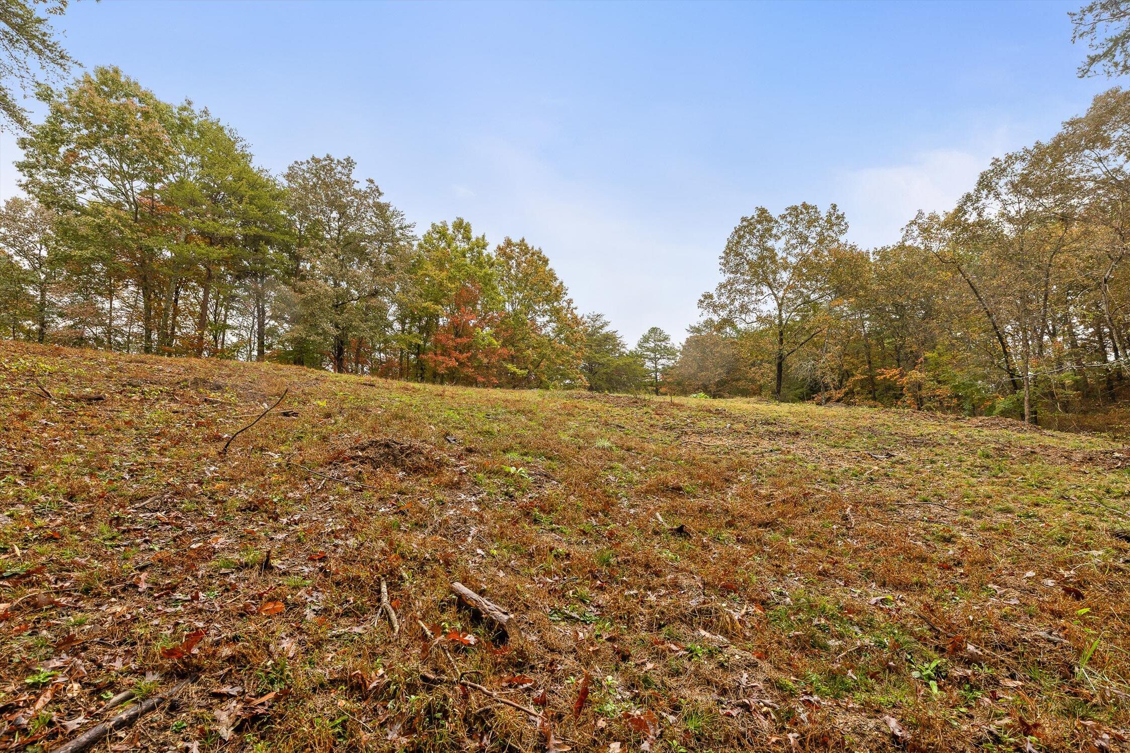 0 Countryside Drive Dunlap, TN 37327 - Photo 9 of 34 09-Countryside-9