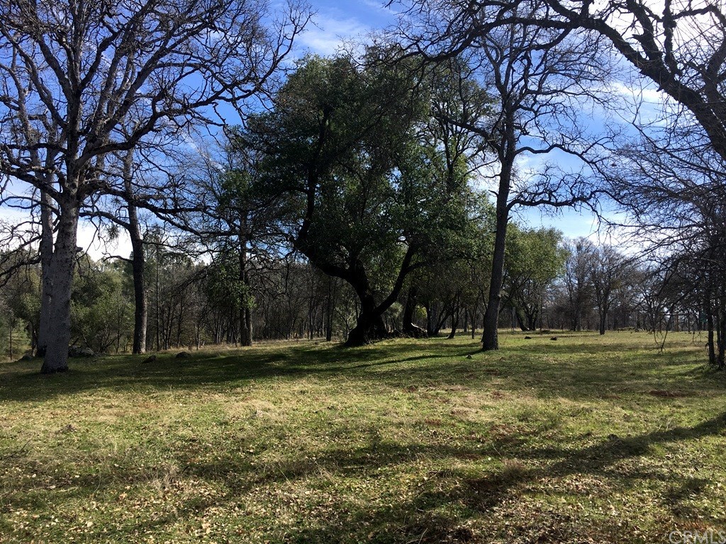 6 3 Acres Lakeside Road Mariposa, CA 95338 - Photo 1 of 1 Gallery Image 1