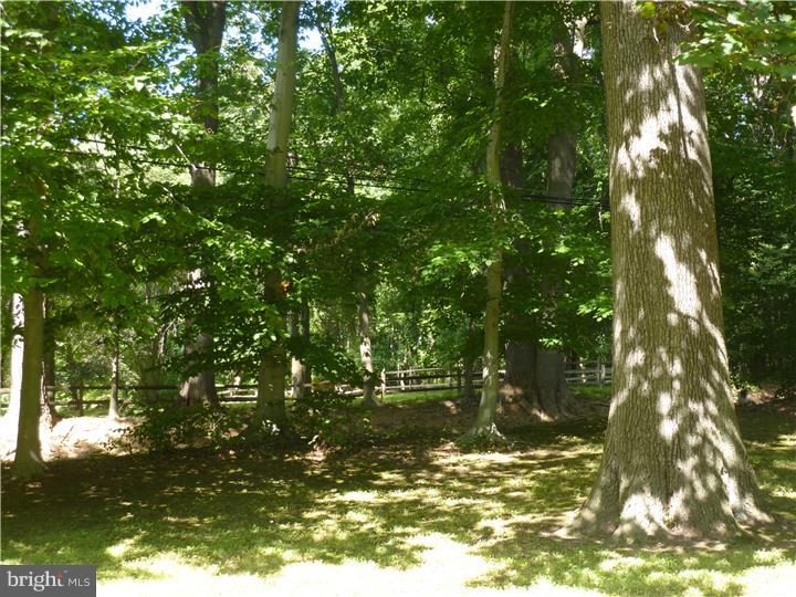 260 Sycamore Mills Road Media, PA 19063 - Photo 21 of 25 View from Front Door