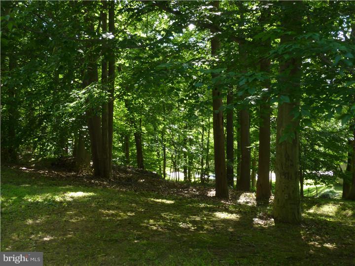 260 Sycamore Mills Road Media, PA 19063 - Photo 22 of 25 Side Yard