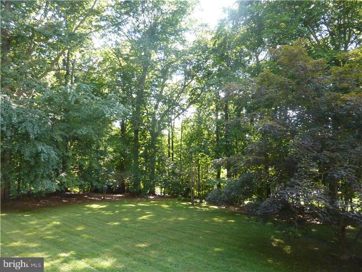 260 Sycamore Mills Road Media, PA 19063 - Photo 23 of 25 Back Yard